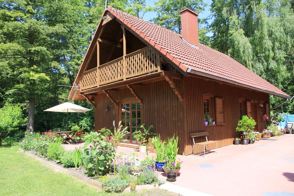 Anglo-polish Holidays Chycina